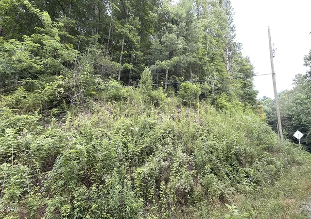 3rd image of 0 Gulf Road, Hartford, TN 37753 | MLS# 3320300