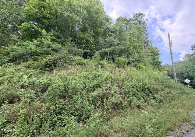 4th image of 0 Gulf Road, Hartford, TN 37753 | MLS# 3320300