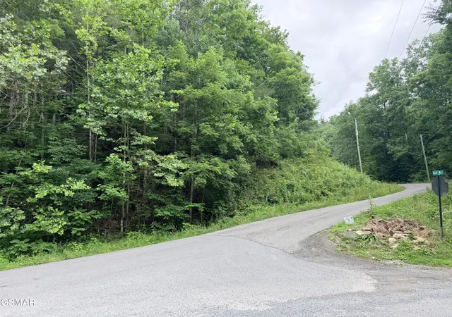 5th image of 0 Gulf Road, Hartford, TN 37753 | MLS# 3320300