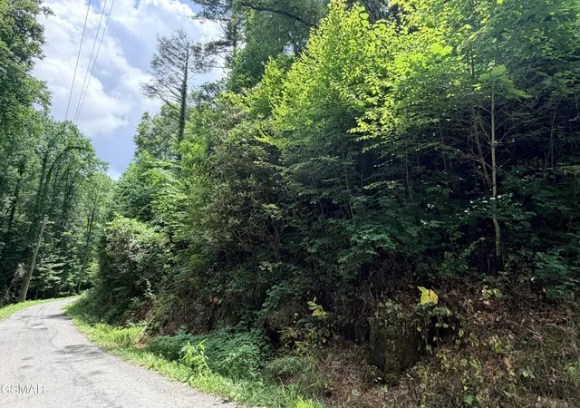 10th image of 0 Gulf Road, Hartford, TN 37753 | MLS# 3320300