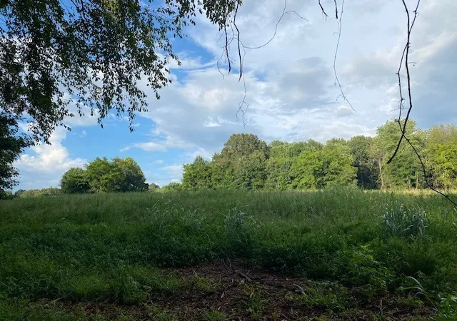 Photo 4 of Land for sale at 7878 Bill Moss Rd, White House, TN 37188 | MLS# 3255419 | Listing updated on 2026-10-08