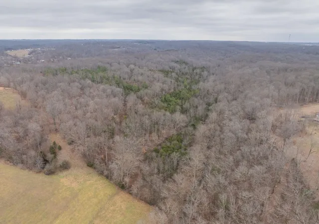 5th image of 0 Wiley Branch Road, Dickson, TN 37055 | MLS# 3255535