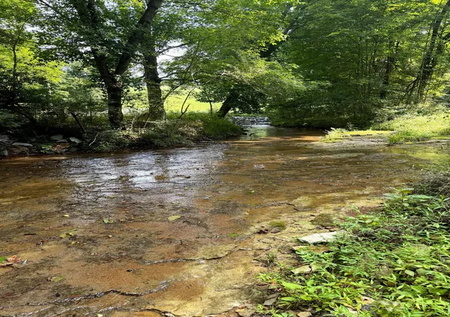 2nd image of 0 Wiley Branch Road, Dickson, TN 37055 | MLS# 3255535