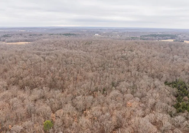 31st image of 0 Wiley Branch Road, Dickson, TN 37055 | MLS# 3255535