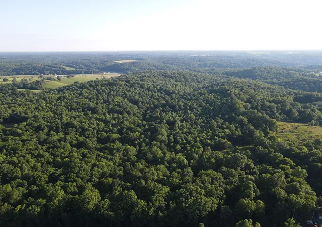 image of 0 Lylewood Road, Woodlawn, TN 37191 | MLS# 3255510