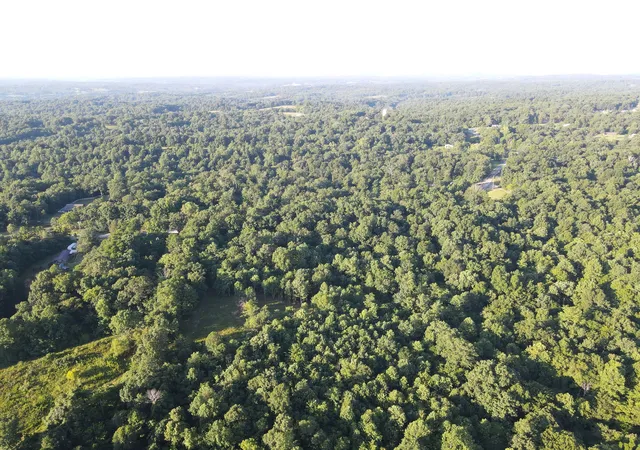 image of 0 Lylewood Road, Woodlawn, TN 37191 | MLS# 3255510