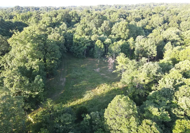 image of 0 Lylewood Road, Woodlawn, TN 37191 | MLS# 3255510