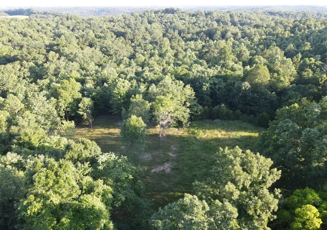image of 0 Lylewood Road, Woodlawn, TN 37191 | MLS# 3255510