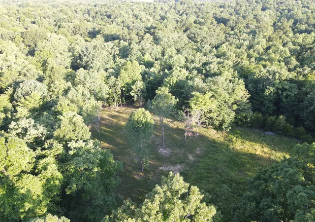 image of 0 Lylewood Road, Woodlawn, TN 37191 | MLS# 3255510