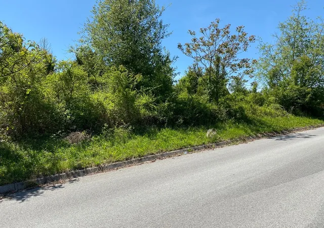 Homes for sale in Sevierville, TN | 38 Broad River Lane, Sevierville, TN 37876 | MLS# 3265779