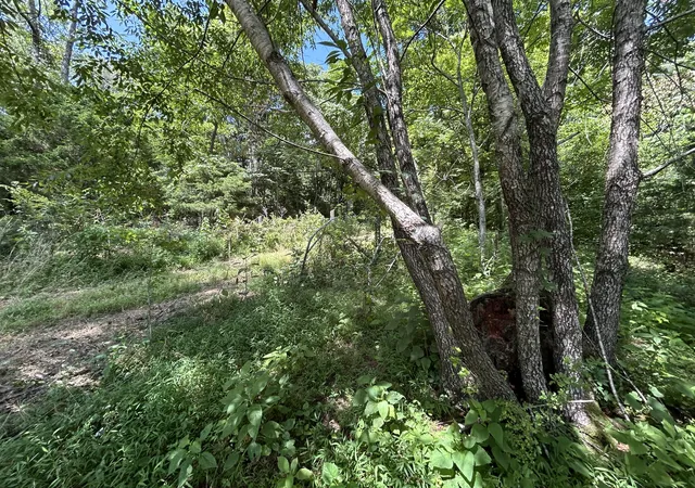 2nd image of 1 New Hope Cemetery Rd, Pulaski, TN 38478 | MLS# 3255579