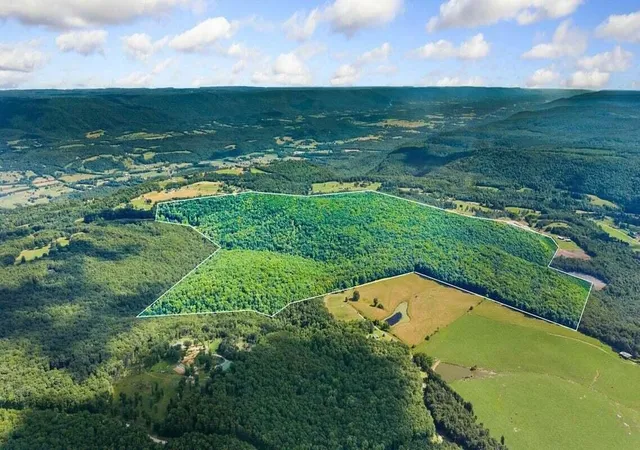 1st image of 298 Fieldstone Lane, Pikeville, TN 37367 | MLS# 3315504