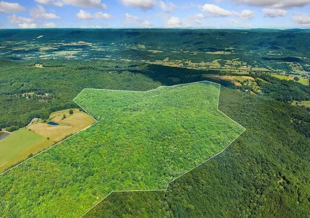11th image of 298 Fieldstone Lane, Pikeville, TN 37367 | MLS# 3315504