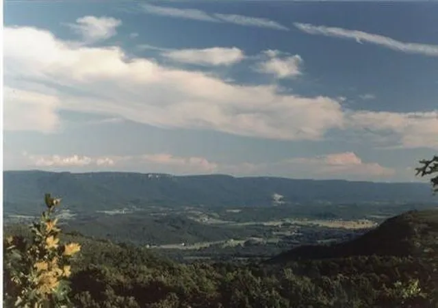2nd image of 298 Fieldstone Lane, Pikeville, TN 37367 | MLS# 3315504