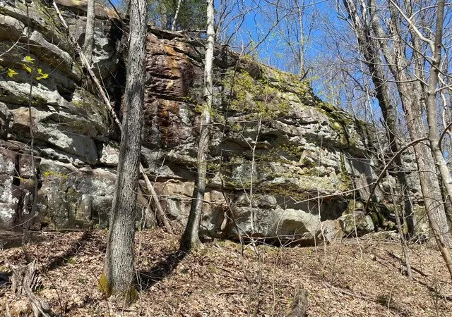 3rd image of 298 Fieldstone Lane, Pikeville, TN 37367 | MLS# 3315504