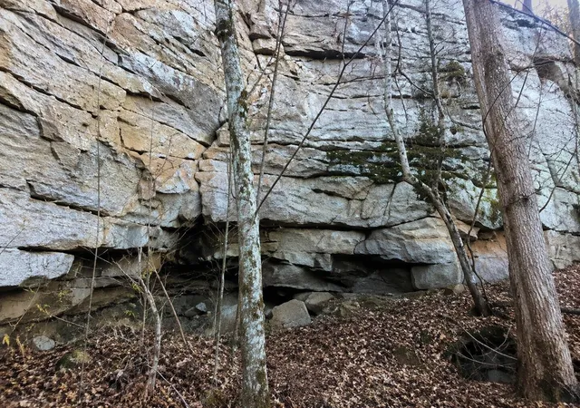 4th image of 298 Fieldstone Lane, Pikeville, TN 37367 | MLS# 3315504
