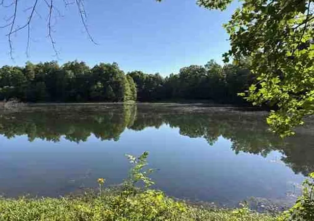 Homes for sale in Lyles, TN | 7117 Old Mill Creek Rd, Lyles, TN 37098 | MLS# 3256209