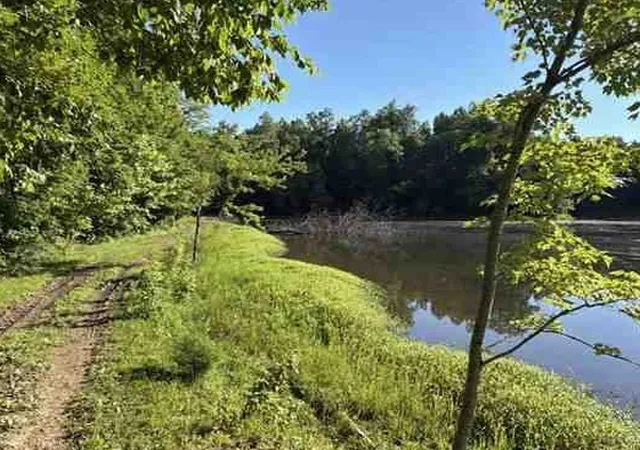Homes for sale in Lyles, TN | 7117 Old Mill Creek Rd, Lyles, TN 37098 | MLS# 3256209
