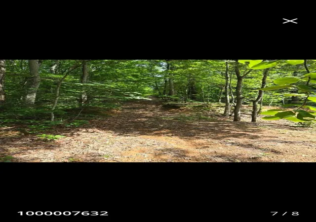 1st image of 185 Co Rd 179, Decatur, TN 37322 | MLS# 3255678
