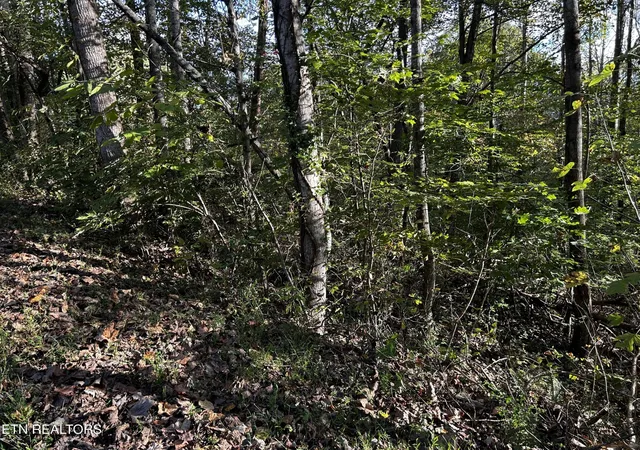 4th image of 18 Revere Ave, Clinton, TN 37716 | MLS# 3304421