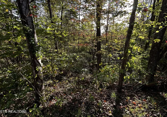 5th image of 18 Revere Ave, Clinton, TN 37716 | MLS# 3304421