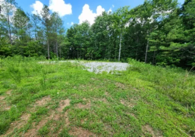 1st image of 674 Rhodas Way, Sunbright, TN 37872 | MLS# 3281074