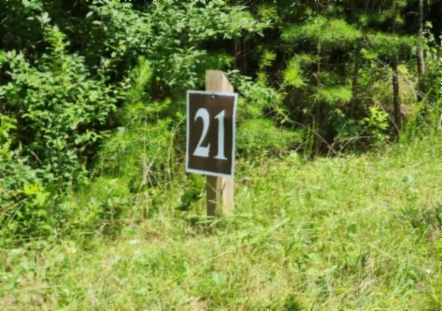 2nd image of 674 Rhodas Way, Sunbright, TN 37872 | MLS# 3281074