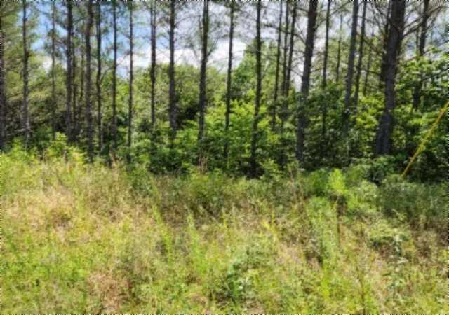 Photo 3 of Land for sale at 674 Rhodas Way, Sunbright, TN 37872 | MLS# 3281074 | Listing updated on 2026-08-20