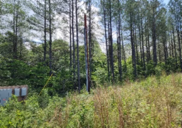 Photo 3 of Land for sale at 674 Rhodas Way, Sunbright, TN 37872 | MLS# 3281074 | Listing updated on 2026-08-20