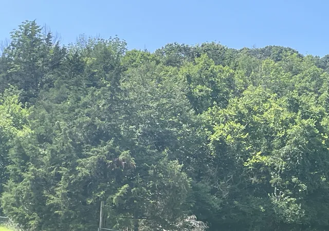 3rd image of 0 Ingram Rd, Whites Creek, TN 37189 | MLS# 3256511