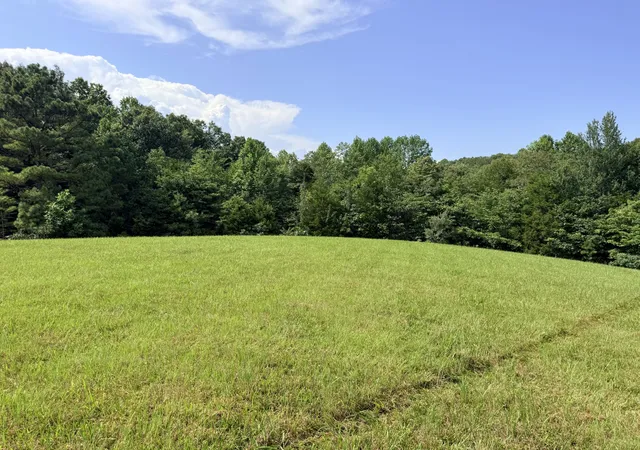Homes for sale in Manchester, TN | 0 Ghea, Manchester, TN 37355 | MLS# 3259787