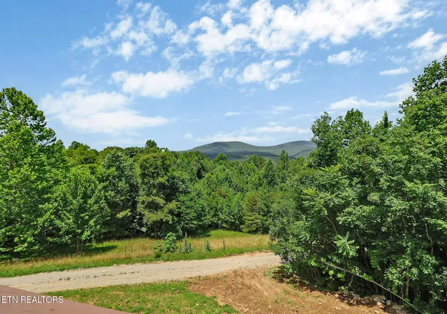 Homes for sale in Jamestown, TN | 517 Big Sky Rd, Jamestown, TN 38556 | MLS# 3255778