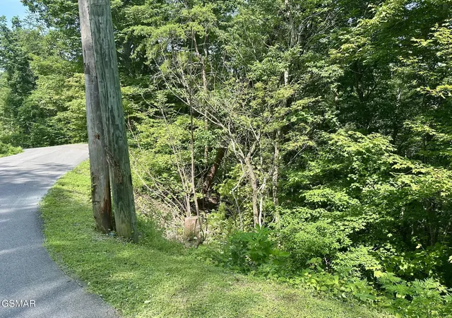 Homes for sale in Sevierville, TN | 0 Dogwood Dr, Sevierville, TN 37876 | MLS# 3265780