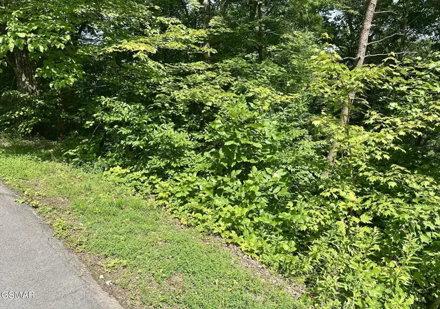 Homes for sale in Sevierville, TN | 0 Dogwood Dr, Sevierville, TN 37876 | MLS# 3265780