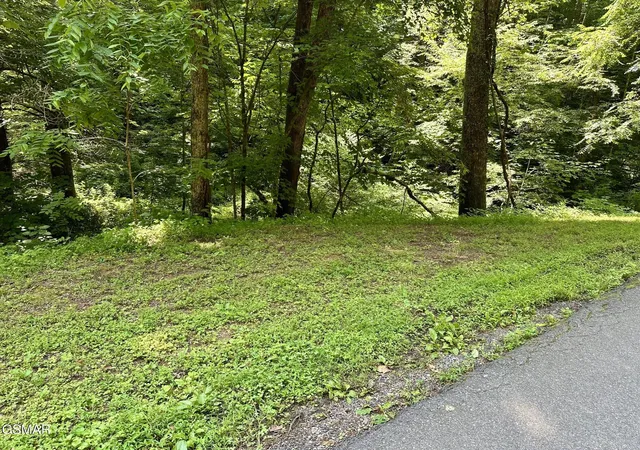 Homes for sale in Sevierville, TN | 706 School House Gap Road, Sevierville, TN 37876 | MLS# 3265781