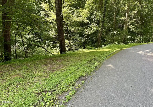 Homes for sale in Sevierville, TN | 706 School House Gap Road, Sevierville, TN 37876 | MLS# 3265781