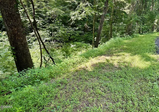 Homes for sale in Sevierville, TN | 706 School House Gap Road, Sevierville, TN 37876 | MLS# 3265781