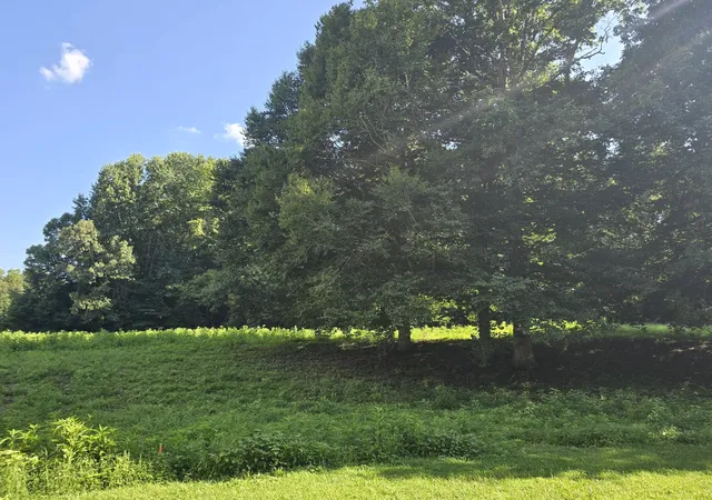 1st image of 0 Piney Rd, Dickson, TN 37055 | MLS# 3314327
