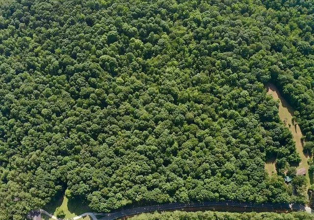 1st image of 0 Jeanette Holladay Rd, Parsons, TN 38363 | MLS# 3258316