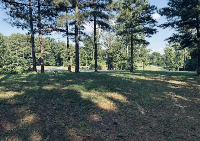 Homes for sale in Jasper, TN | 0 Raulston Falls Road, Jasper, TN 37347 | MLS# 3256237