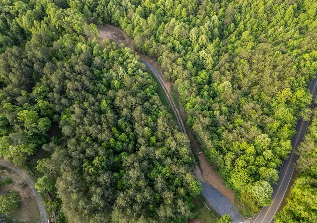 5th image of 3960 Lamontville Road, Decatur, TN 37322 | MLS# 3256300