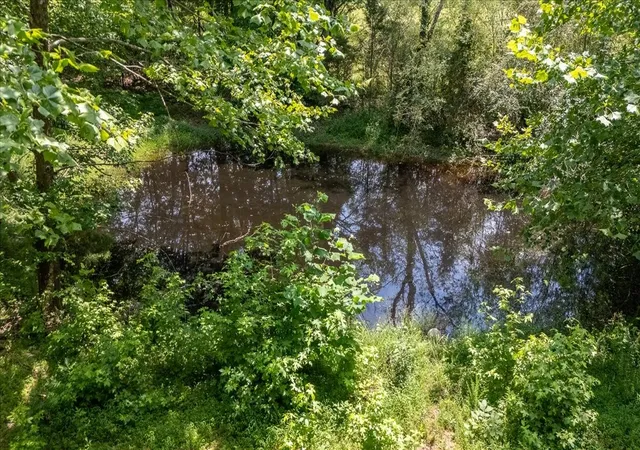 Photo 1 of Land for sale at 2548 Highway 43 N, Leoma, TN 38468 | MLS# 3256381 | Listing updated on 2026-09-02