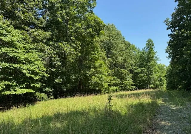 Homes for sale in Nunnelly, TN | 8062 Frame Hollow Rd, Nunnelly, TN 37137 | MLS# 3256424
