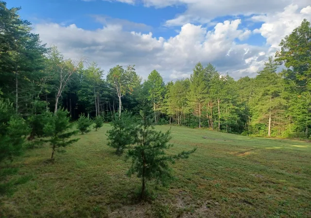 Homes for sale in Jamestown, TN | 0 Cowboy Way, Jamestown, TN 38556 | MLS# 3256496