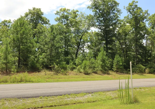 13th image of 0 Coves Pointe Rd W, Sparta, TN 38583 | MLS# 3279144
