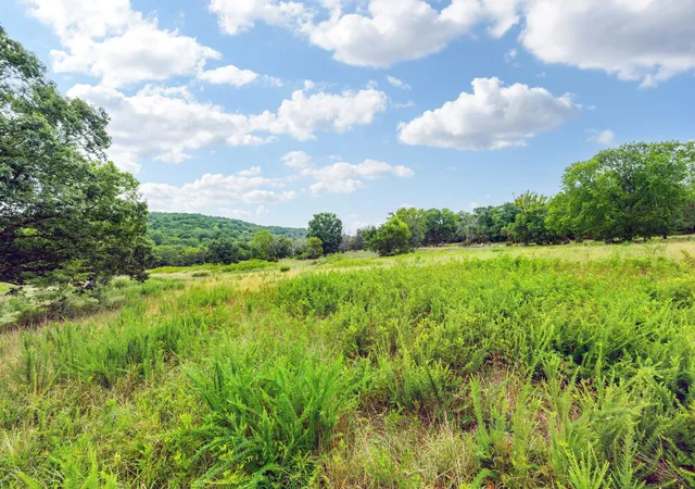 Homes for sale in Watertown, TN | 0 Haley Rd, Watertown, TN 37184 | MLS# 3263409