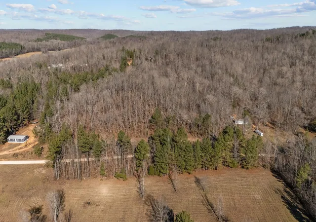 Homes for sale in Waverly, TN | 0 Roberts Creek Rd, Waverly, TN 37185 | MLS# 3256532