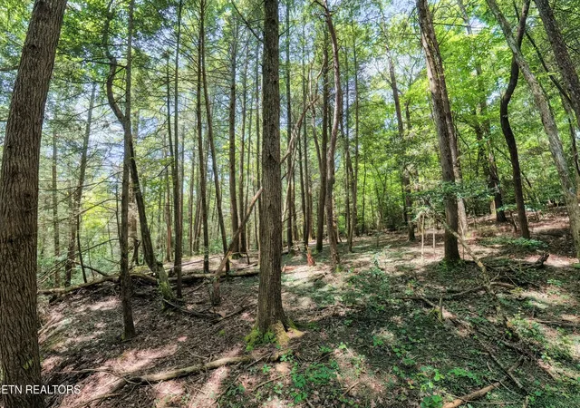 Photo 3 of Land for sale at 0 Leffle Webb Rd, Crossville, TN 38572 | MLS# 3256530 | Listing updated on 2026-09-24