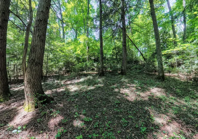 Photo 3 of Land for sale at 0 Leffle Webb Rd, Crossville, TN 38572 | MLS# 3256530 | Listing updated on 2026-09-24