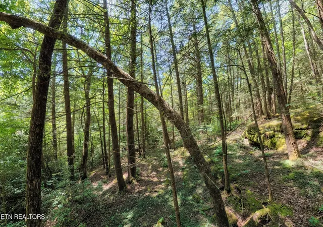 Photo 4 of Land for sale at 0 Leffle Webb Rd, Crossville, TN 38572 | MLS# 3256530 | Listing updated on 2026-09-24